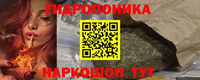 крисы Лесосибирск