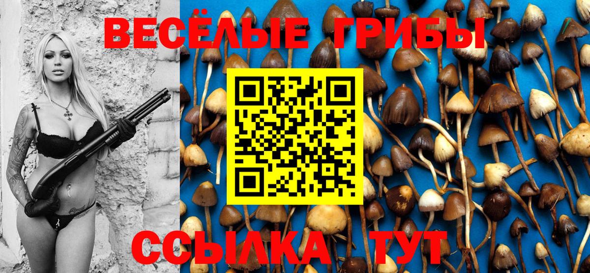 Балтийск  Галлюциногенные грибы мицелий  Псилоцибиновые грибы прущие грибы  Вход с VPN 